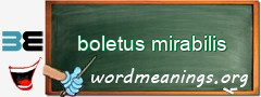 WordMeaning blackboard for boletus mirabilis